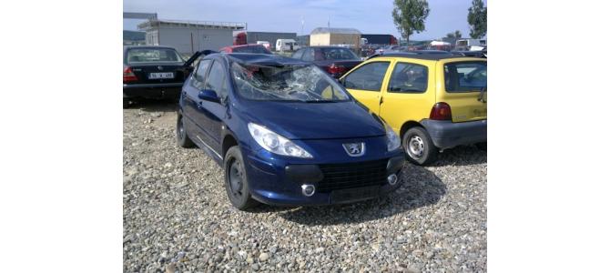 Dezmembrez Peugeot 307