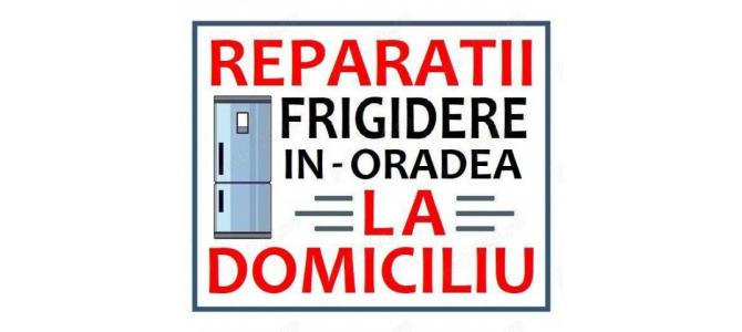 Reparatii Frigidere la Domiciliu