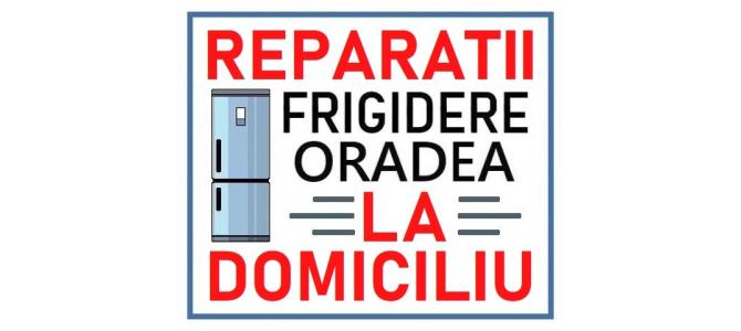 Reparatii Frigidere la Domiciliu in Oradea